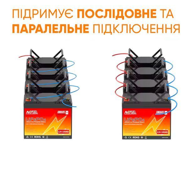 Литий-железо-фосфатный аккумулятор MOSEWORTH LiFePO4 12V 100 Ah Smart (1280Wh) (BMS 100A) 123000800 фото
