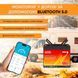 Литий-железо-фосфатный аккумулятор MOSEWORTH LiFePO4 12V 100 Ah Smart (1280Wh) (BMS 100A) 123000800 фото 3